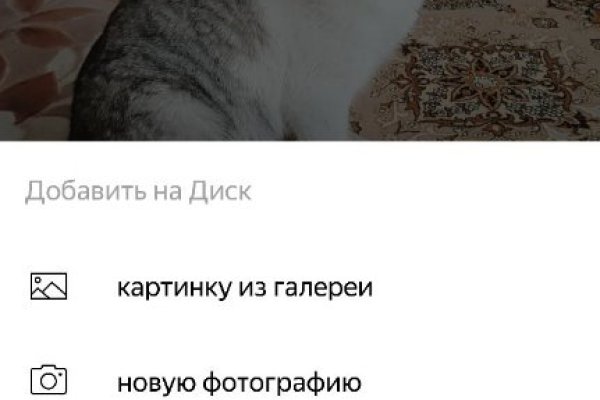 Кракен маркет даркнет только через стор