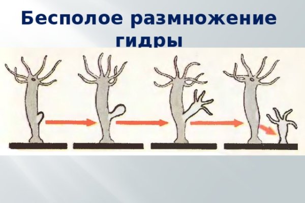 Почему кракена назвали кракеном