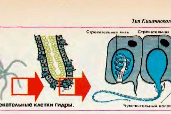 Kraken market ссылка тор